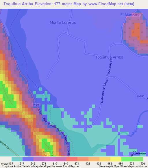 Toquihua Arriba,Chile Elevation Map