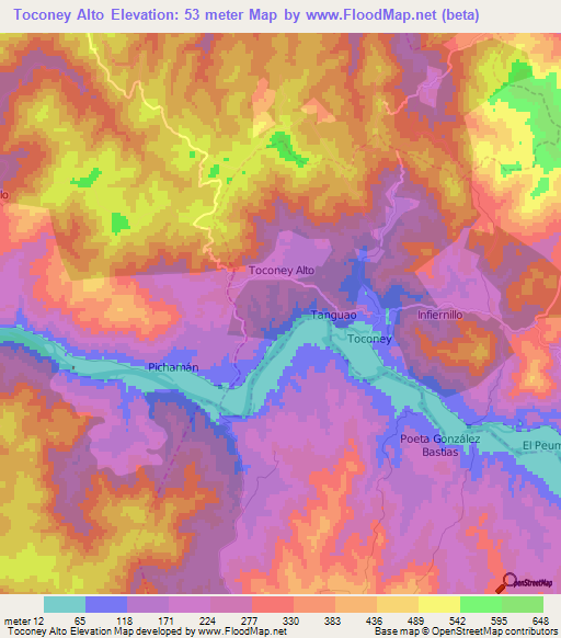Toconey Alto,Chile Elevation Map