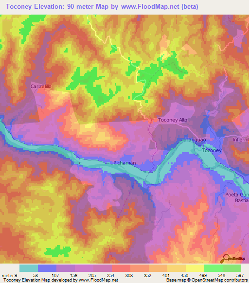 Toconey,Chile Elevation Map