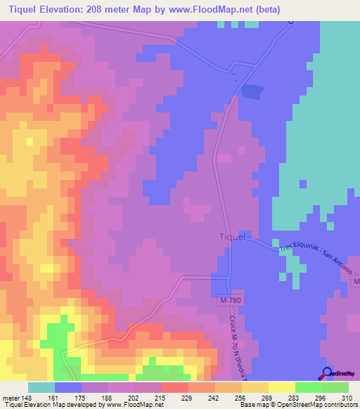 Tiquel,Chile Elevation Map