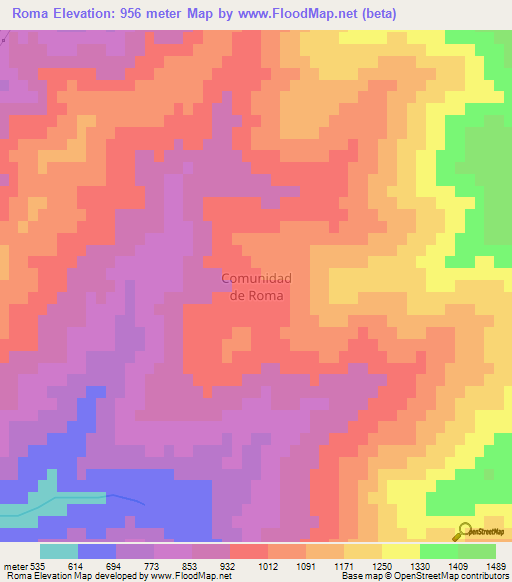 Roma,Chile Elevation Map