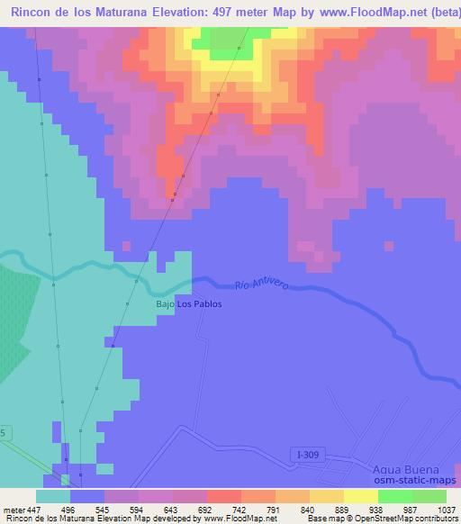 Rincon de los Maturana,Chile Elevation Map