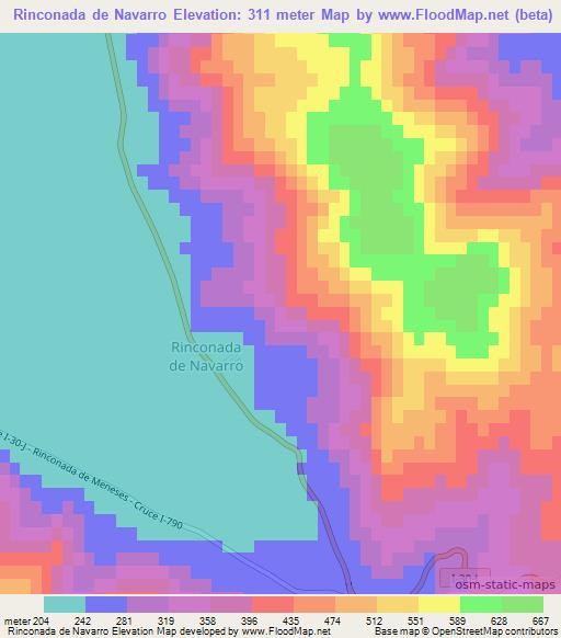 Rinconada de Navarro,Chile Elevation Map