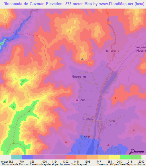 Rinconada de Guzman,Chile Elevation Map