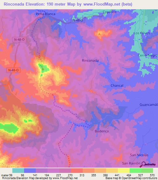 Rinconada,Chile Elevation Map