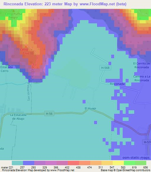 Rinconada,Chile Elevation Map