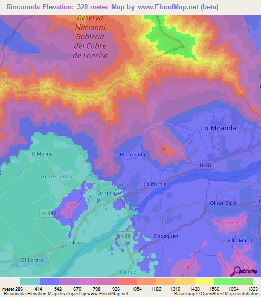 Rinconada,Chile Elevation Map