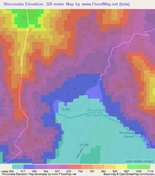 Rinconada,Chile Elevation Map