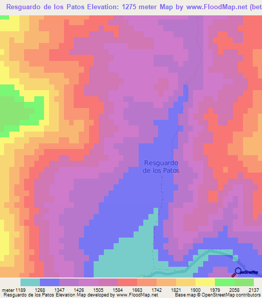 Resguardo de los Patos,Chile Elevation Map