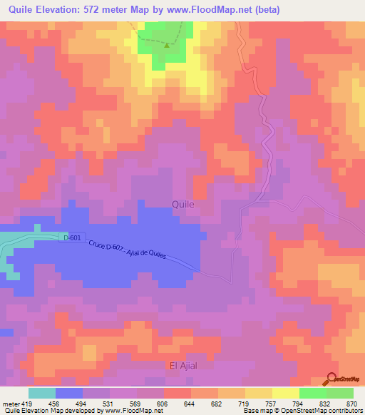 Quile,Chile Elevation Map