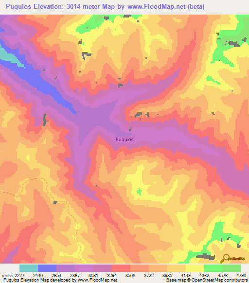 Puquios,Chile Elevation Map