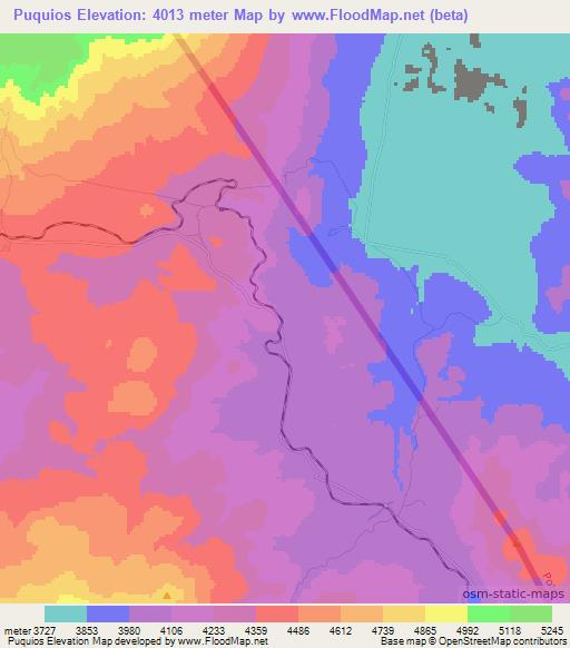 Puquios,Chile Elevation Map