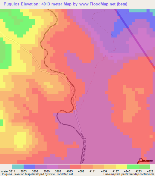 Puquios,Chile Elevation Map
