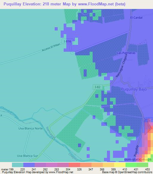 Puquillay,Chile Elevation Map