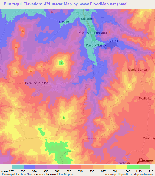 Punitaqui,Chile Elevation Map