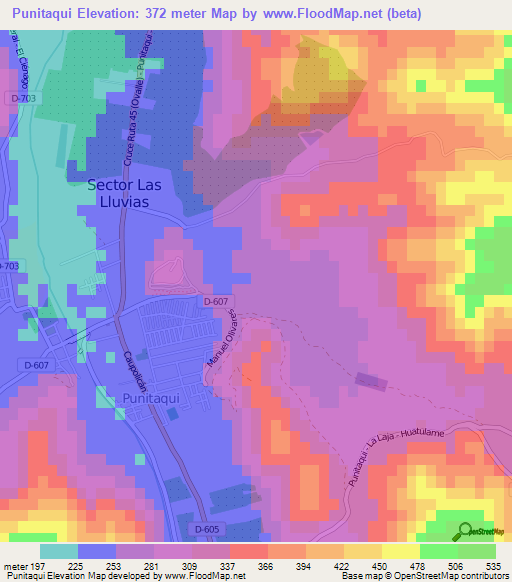 Punitaqui,Chile Elevation Map