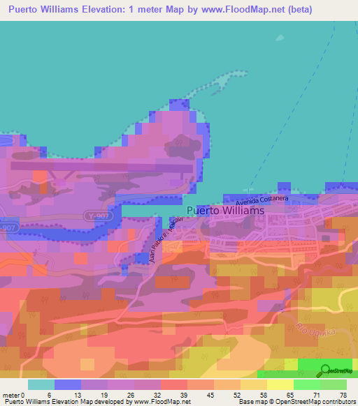 Puerto Williams,Chile Elevation Map