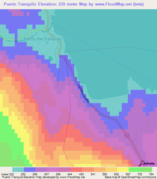 Puerto Tranquilo,Chile Elevation Map