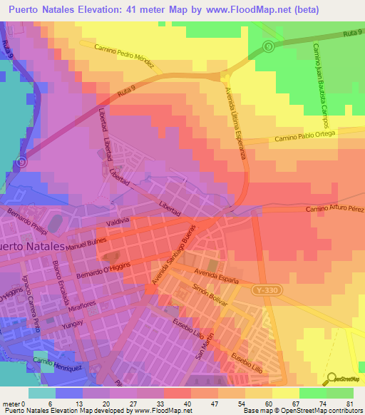 Puerto Natales,Chile Elevation Map