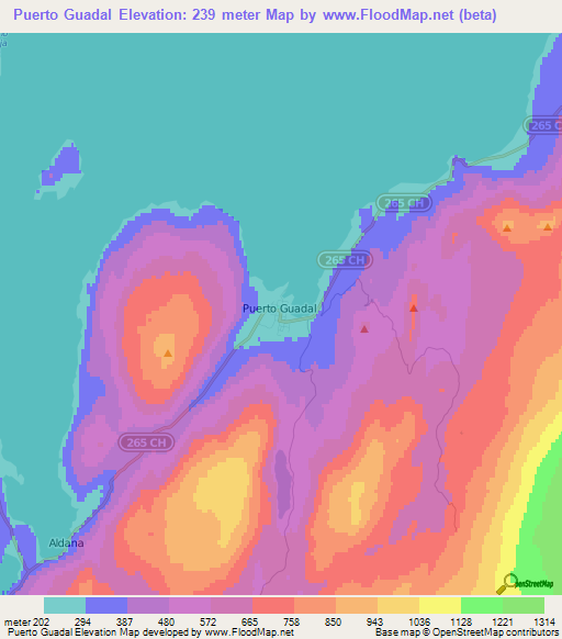 Puerto Guadal,Chile Elevation Map