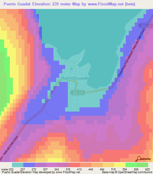 Puerto Guadal,Chile Elevation Map