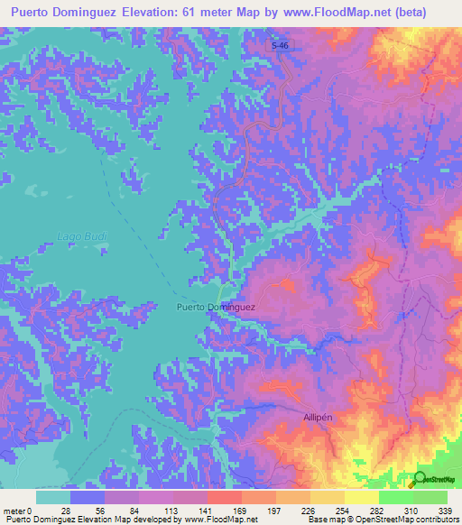 Puerto Dominguez,Chile Elevation Map