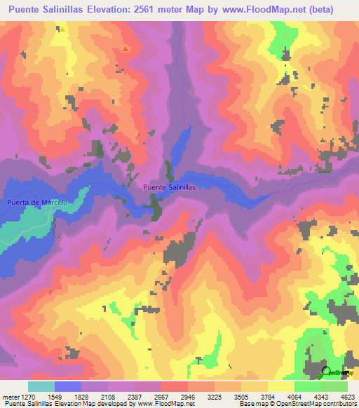 Puente Salinillas,Chile Elevation Map