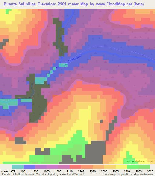 Puente Salinillas,Chile Elevation Map