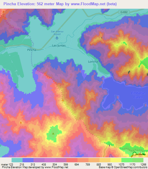 Pincha,Chile Elevation Map