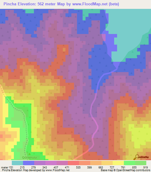 Pincha,Chile Elevation Map