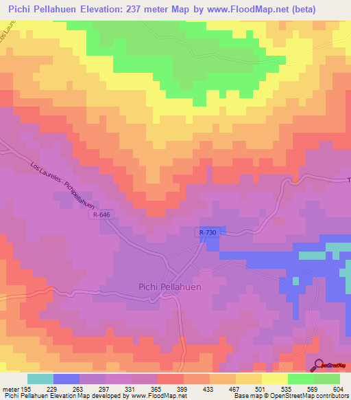 Pichi Pellahuen,Chile Elevation Map