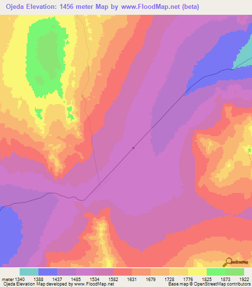 Ojeda,Chile Elevation Map