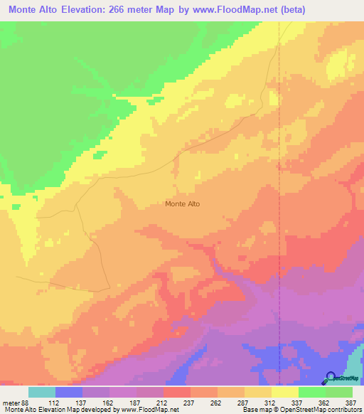 Monte Alto,Chile Elevation Map