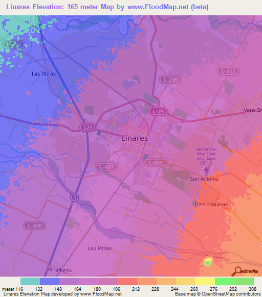 Linares,Chile Elevation Map