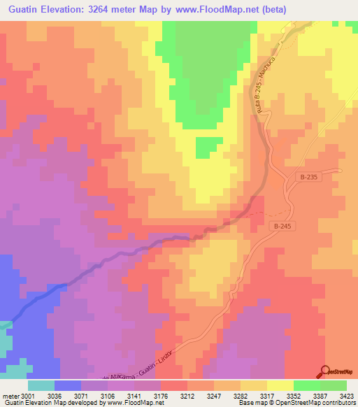 Guatin,Chile Elevation Map