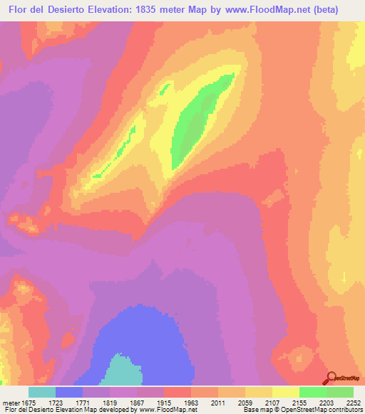 Flor del Desierto,Chile Elevation Map