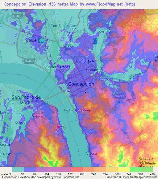 Concepcion,Chile Elevation Map
