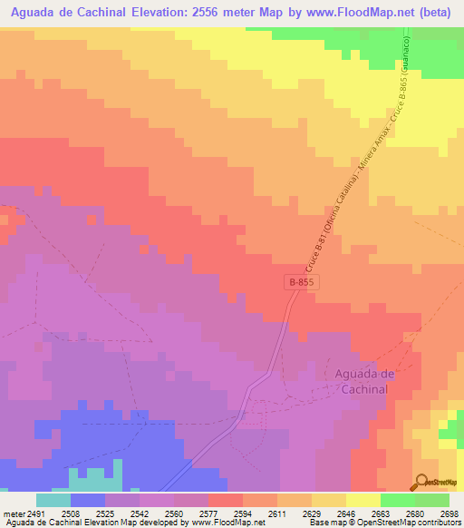 Aguada de Cachinal,Chile Elevation Map