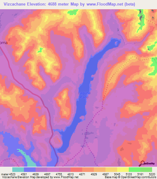 Vizcachane,Peru Elevation Map