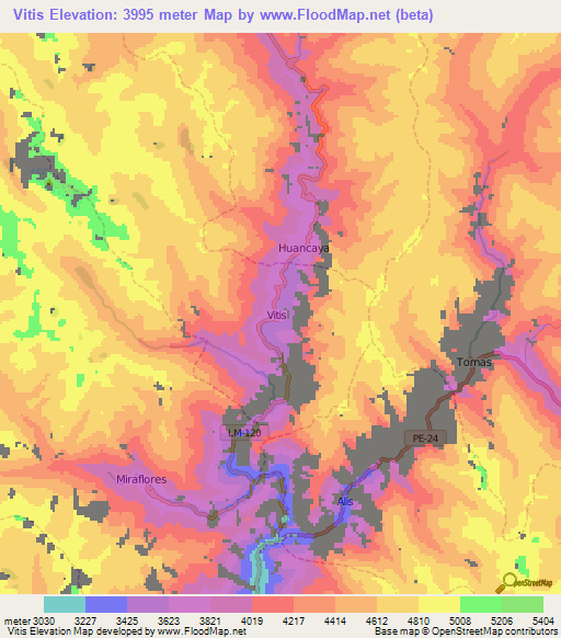 Vitis,Peru Elevation Map