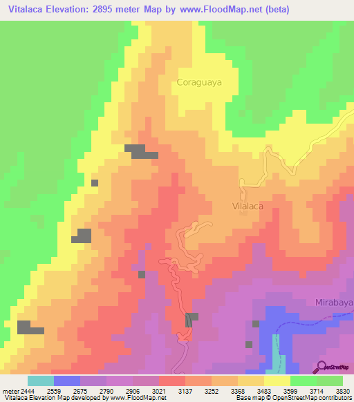 Vitalaca,Peru Elevation Map