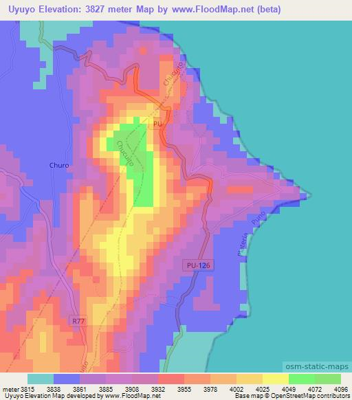 Uyuyo,Peru Elevation Map
