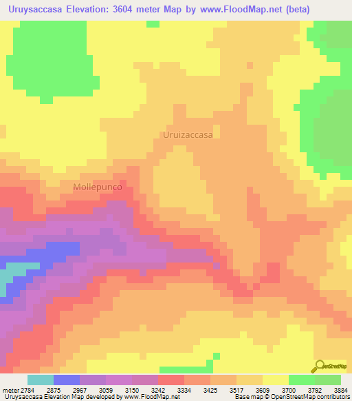 Uruysaccasa,Peru Elevation Map