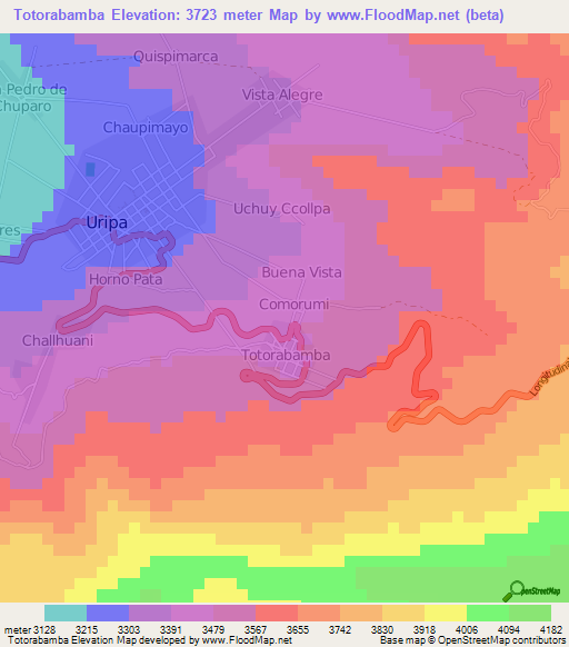 Totorabamba,Peru Elevation Map
