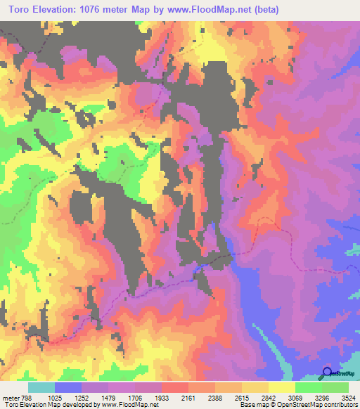 Toro,Peru Elevation Map