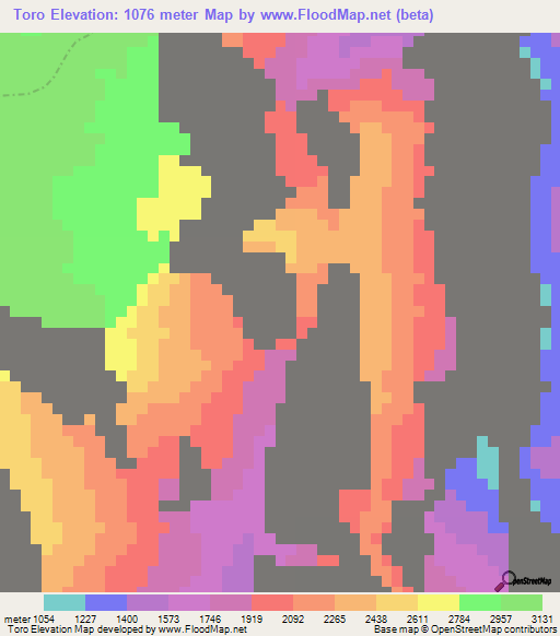 Toro,Peru Elevation Map