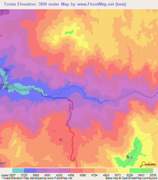 Torata,Peru Elevation Map