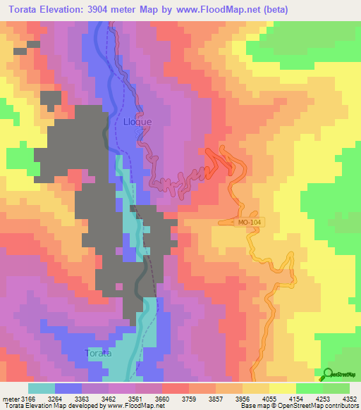 Torata,Peru Elevation Map