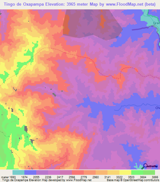 Tingo de Oxapampa,Peru Elevation Map