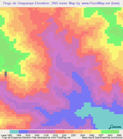 Tingo de Oxapampa,Peru Elevation Map